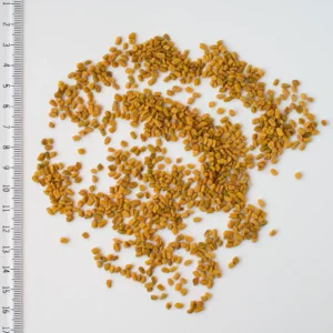 Fenugreek seeds, a traditional herbal ingredient included in men’s wellness supplements for overall vitality and strength. 