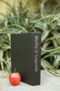 Book titled “Myths” representing common myths about men’s energy, stress, and emotional well-being after 30