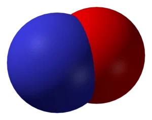 Nitric oxide (NO) molecular structure, a key signaling molecule involved in healthy blood flow and vascular function